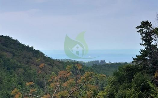 Bargain Wantakien Koh Phangan sea-view land for sale
