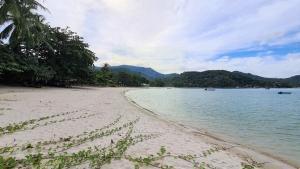 4.5 rai Best Koh Phangan beach land for sale (1)