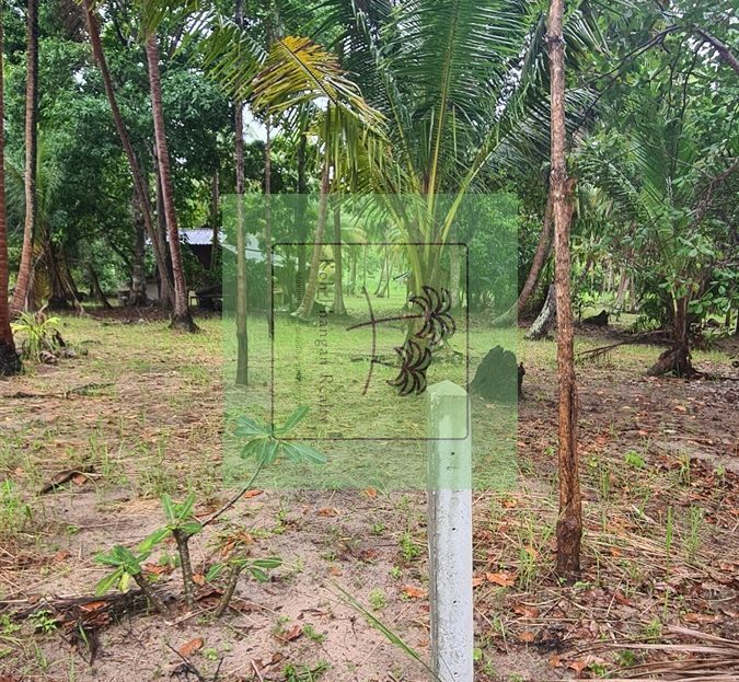 Coconut Lane half rai plots (1)